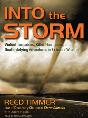 Into the Storm - Audiobook